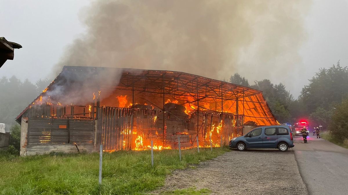 Při požáru seníku na Frýdecko-Místecku zahynulo tele